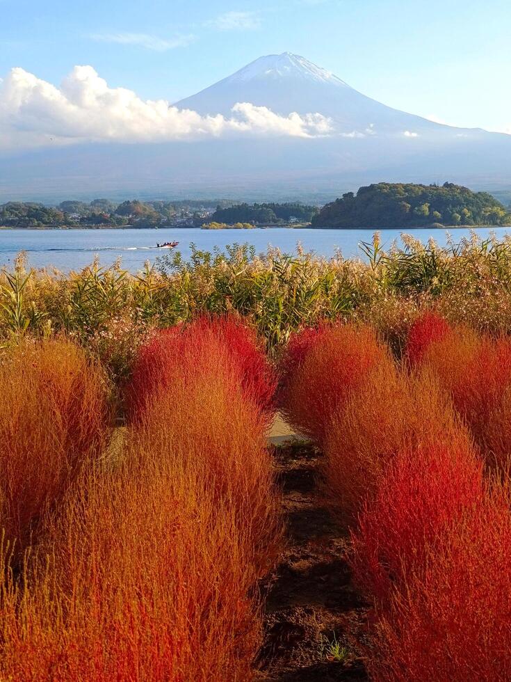 naturale fotografia nel Giappone, montare fuji montagna con neve picco, lago e rosso impianti foto