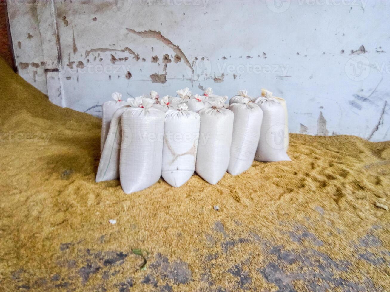 mucchio di cereali di orzo e Grano nel azione foto