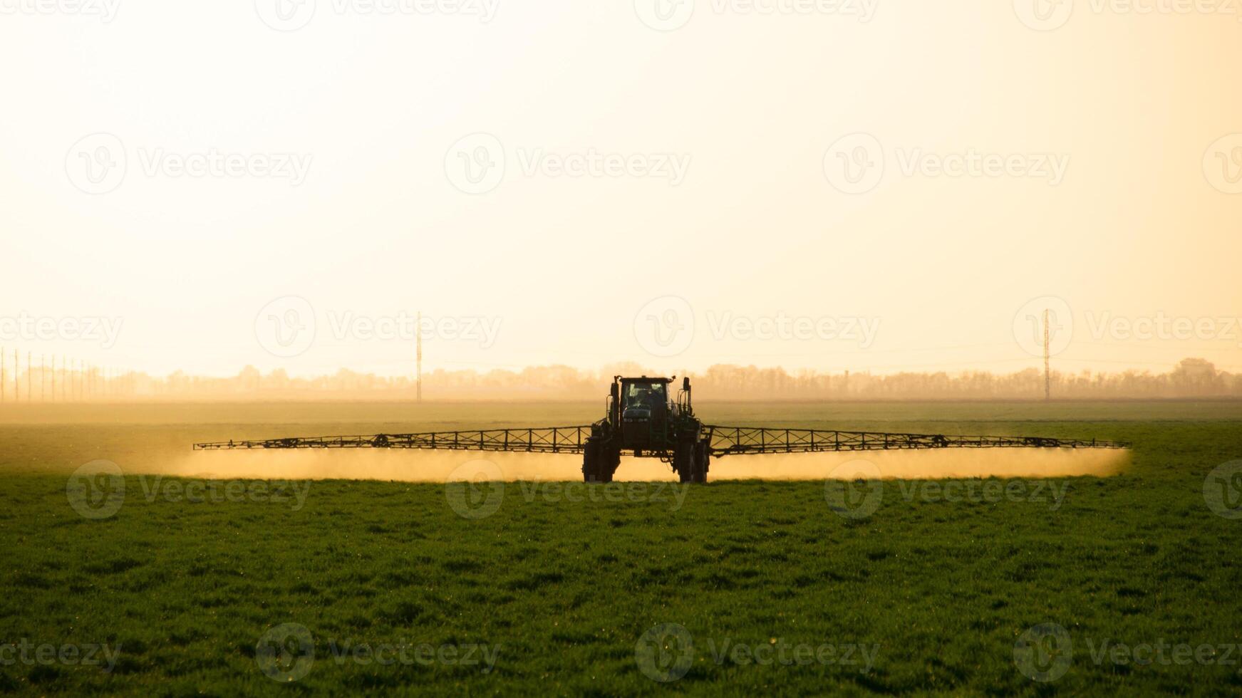 trattore su il tramonto sfondo. trattore con alto ruote è fabbricazione fertilizzante su giovane Grano. foto