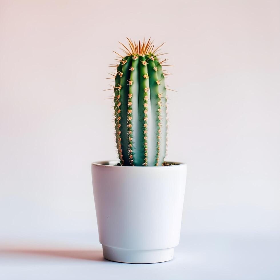 ai generato cactus nel un' minimalista pianta della casa pentola foto