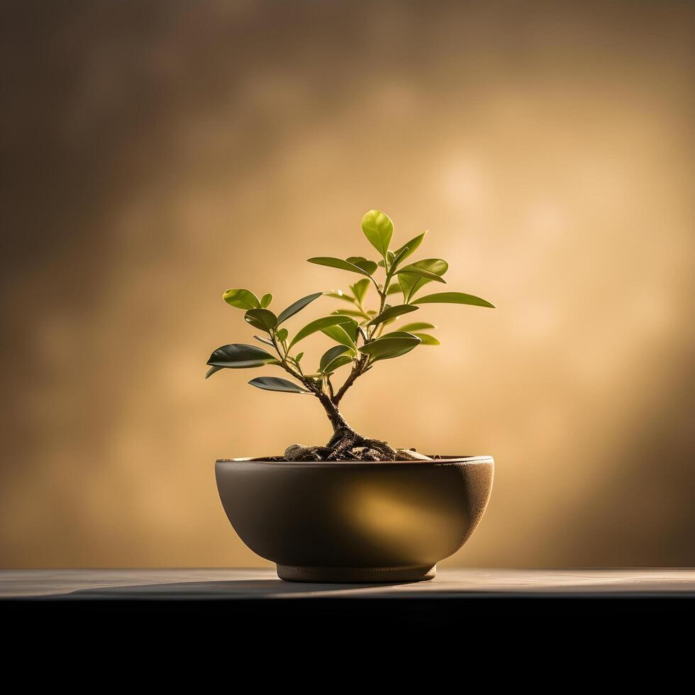 ai generato Bonsai albero nel un' minimalista pianta della casa pentola foto