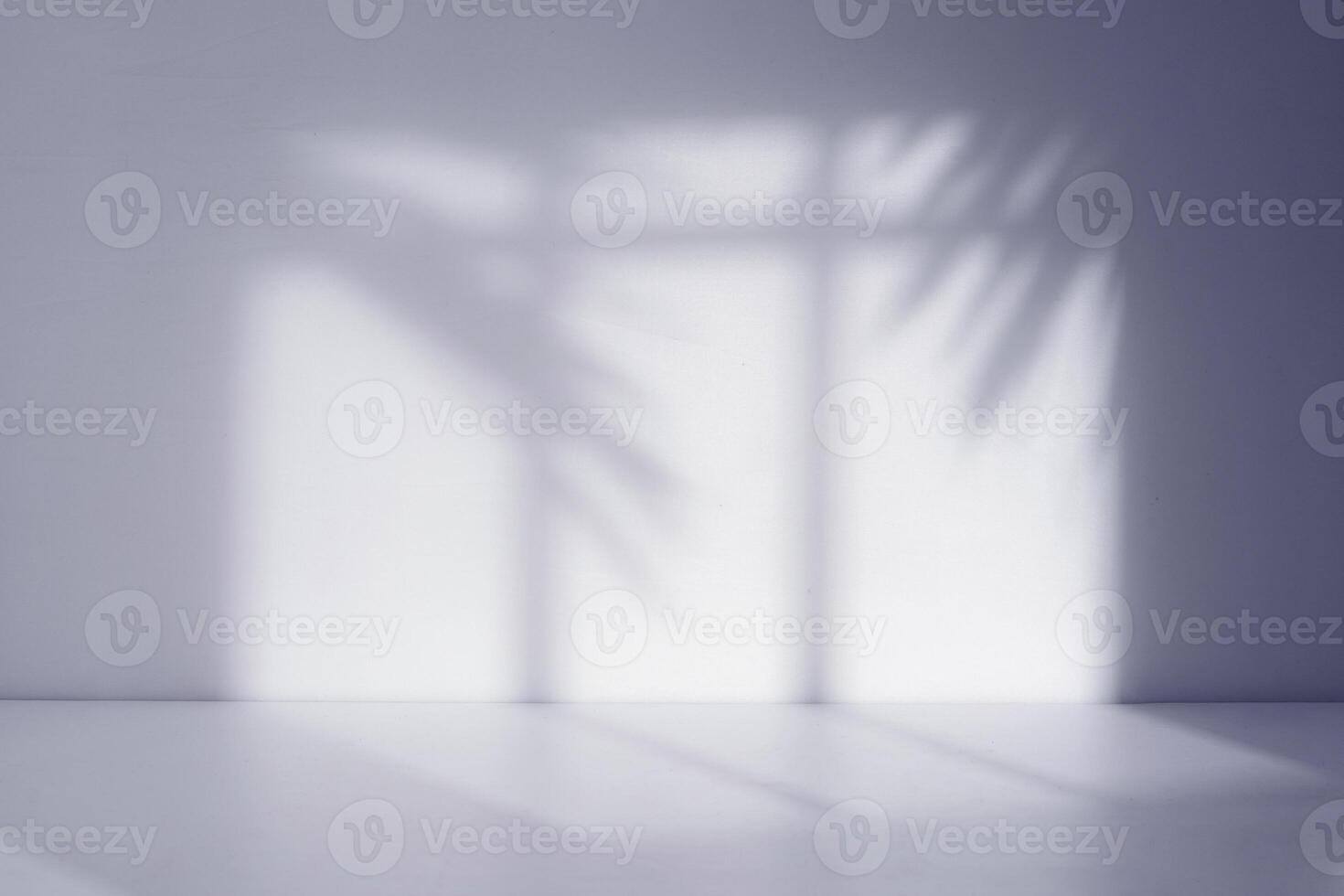 bianca vuoto studio camera con palma foglia ombra foto