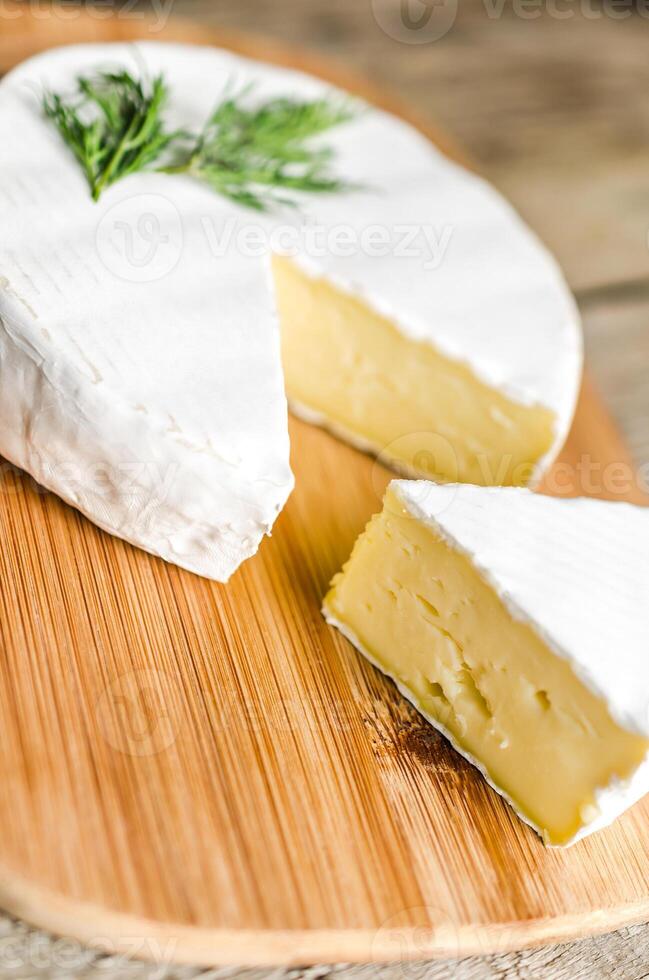 testa di Camembert foto