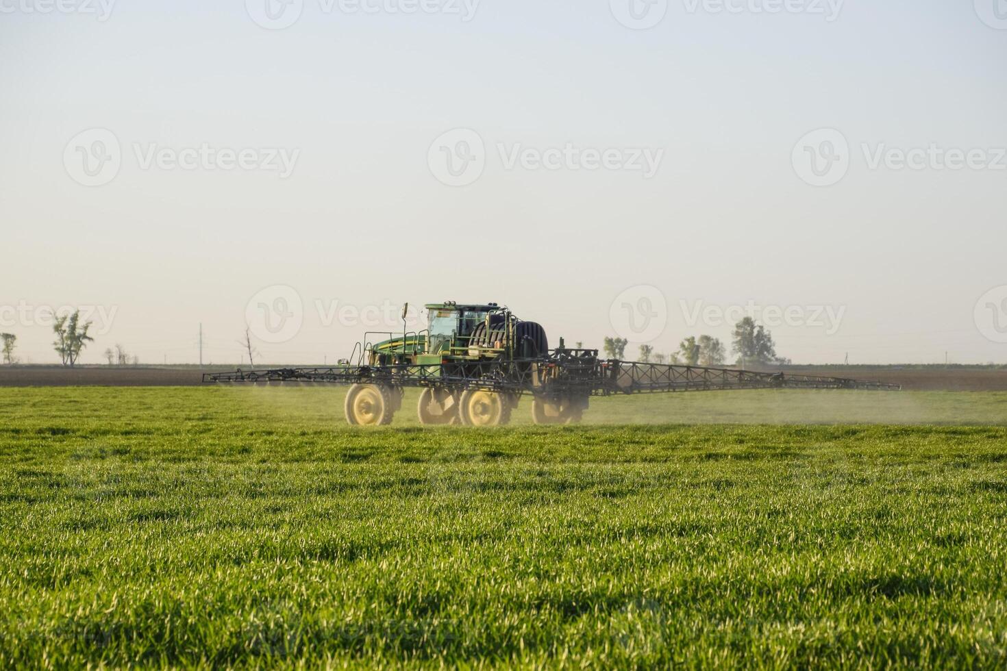 trattore su il tramonto sfondo. trattore con alto ruote è fabbricazione fertilizzante su giovane Grano. il uso di finemente disperso spray sostanze chimiche foto