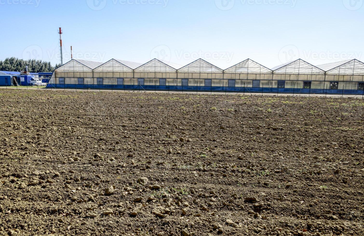 policarbonato serre. serra complesso. serre per in crescita verdure sotto il chiuso terra foto