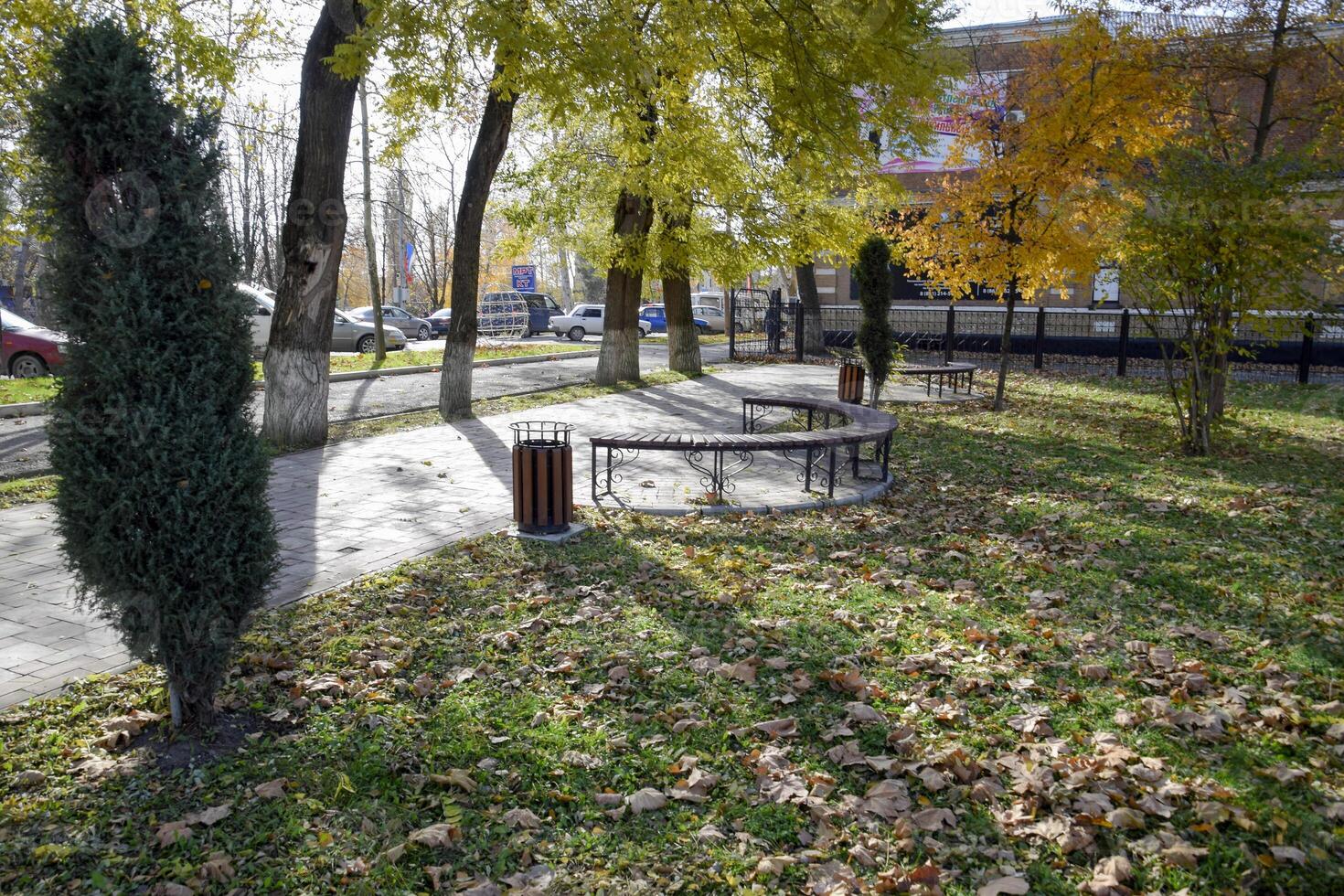 panchina nel un autunno parco. marciapiede di piastrelle e spazzatura Potere. foto