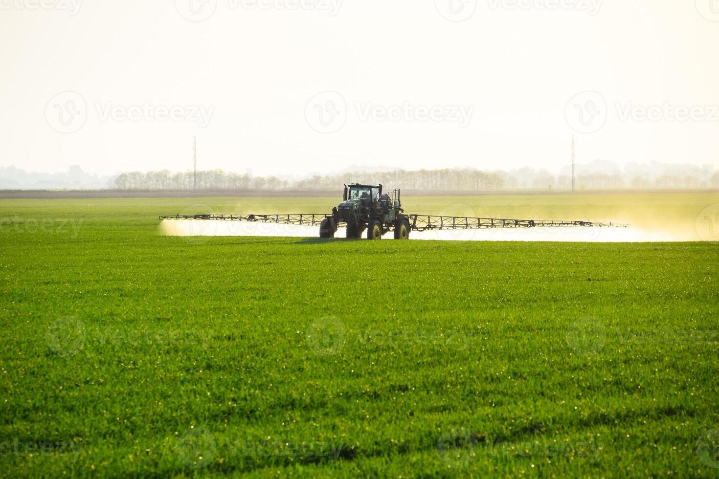 trattore con il Aiuto di un' spruzzatore spray liquido fertilizzanti su giovane Grano nel il campo. foto