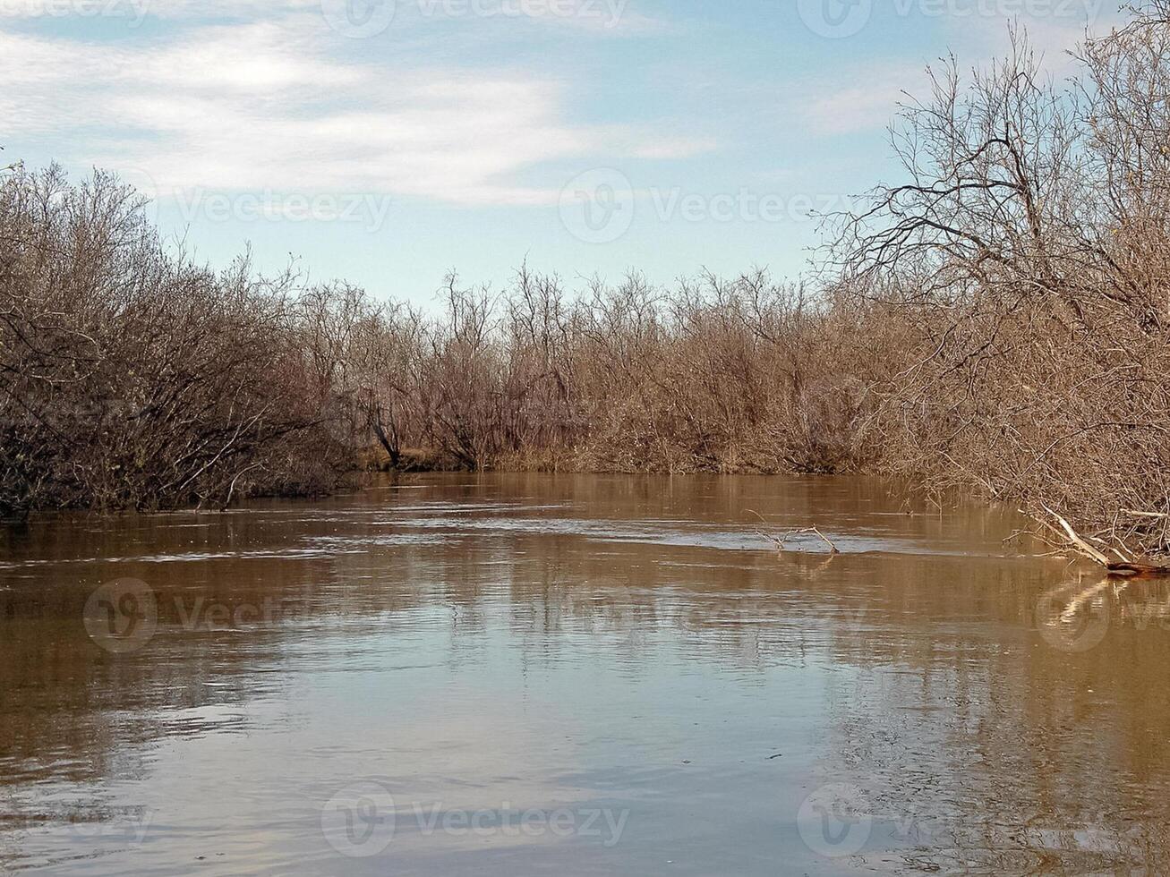 fiume paesaggio presto primavera. spoglio alberi, fusione neve. foto