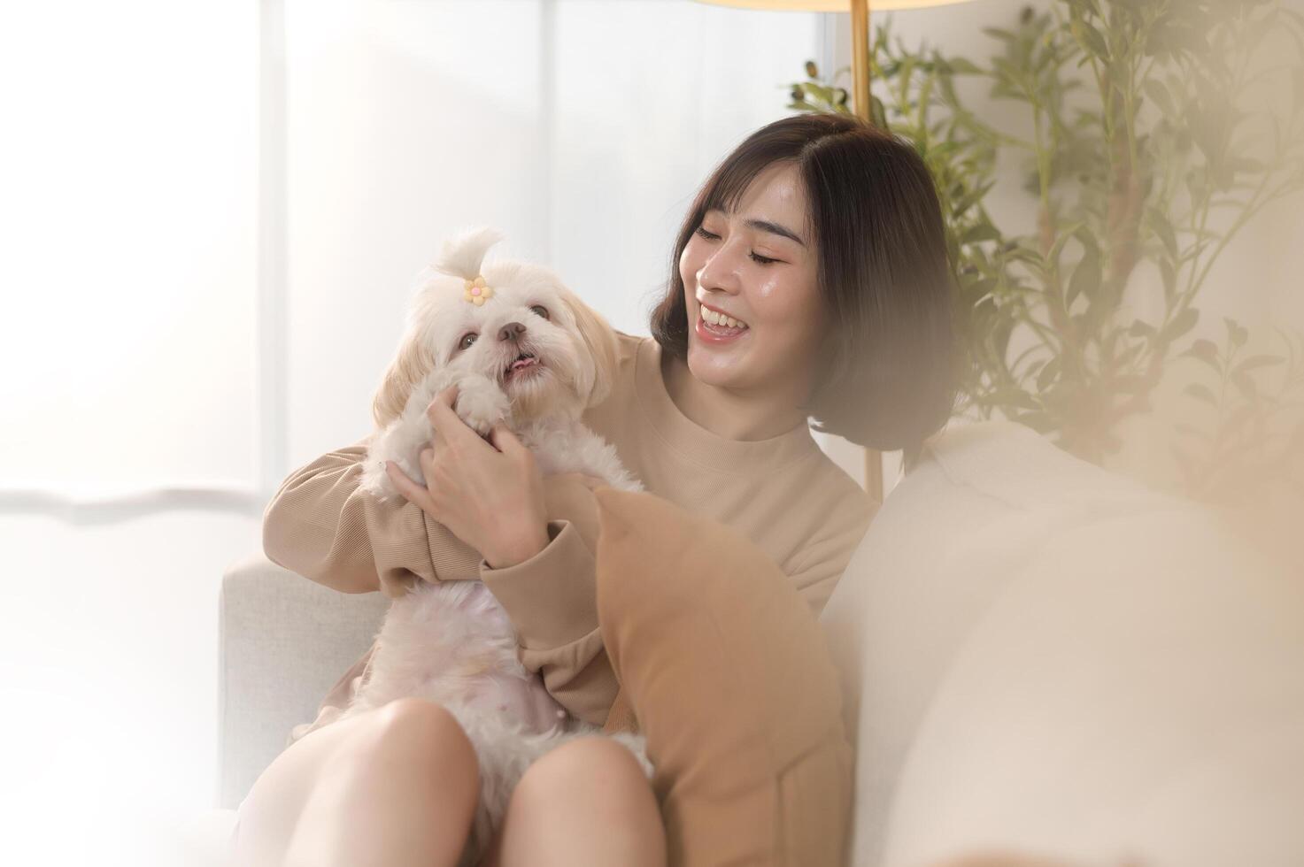 contento giovane asiatico donna coccole e la spesa tempo con carino cane nel vivente camera. foto