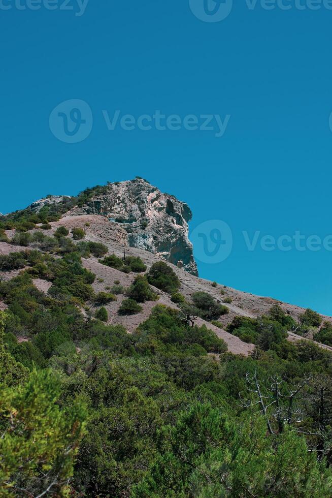 il mare costa di il Crimea, il villaggio di novizio svet vicino sudak. estate mare paesaggio. in viaggio, escursioni a piedi concetto. bellissimo destinazione per vacanza. alto qualità foto