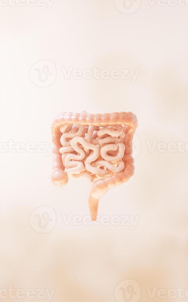 intestinale tratto con digestivo Salute concetto, 3d resa. foto