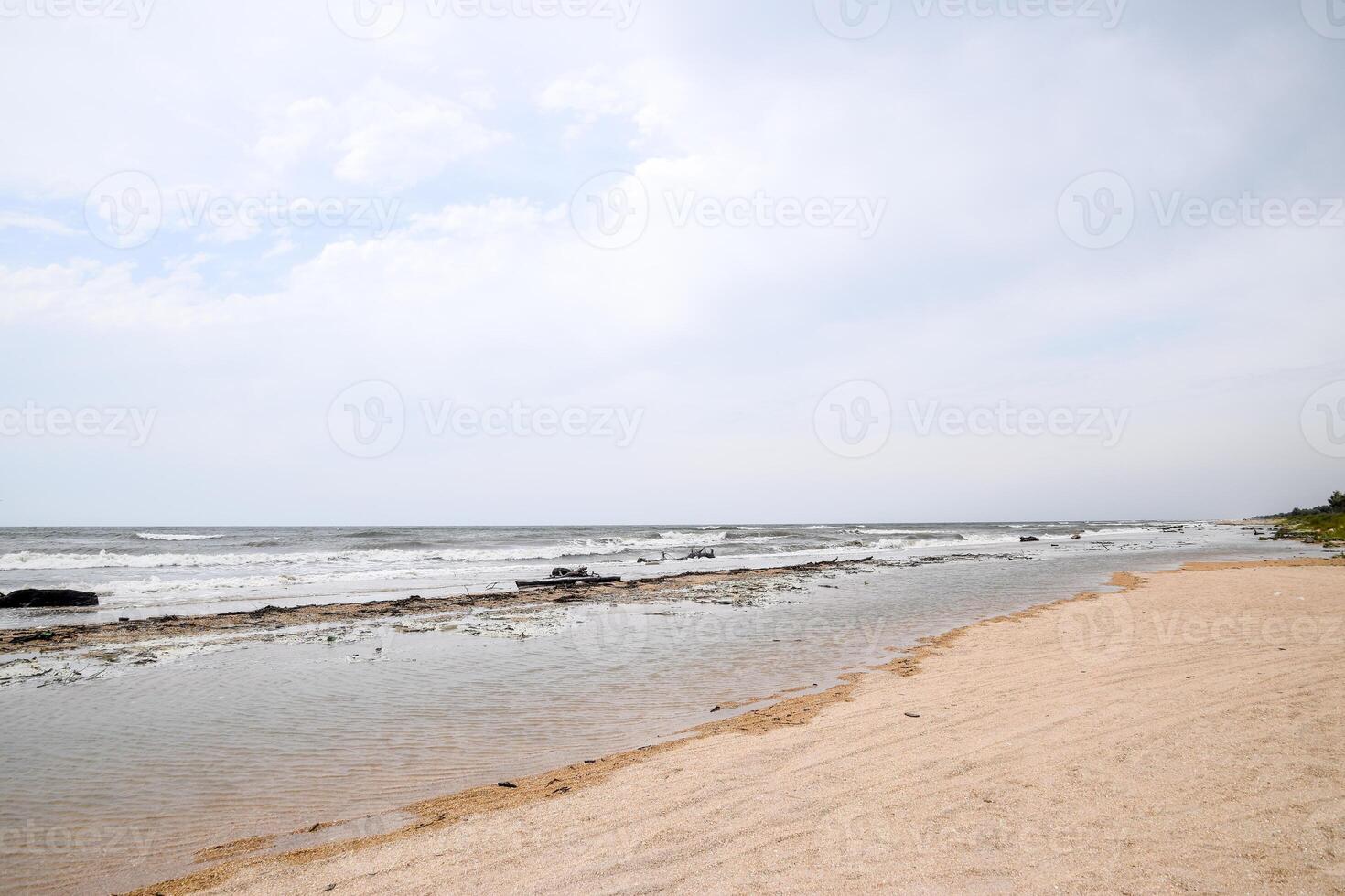 costa di il mare dopo un' tempesta. gettato il alberi a terra foto