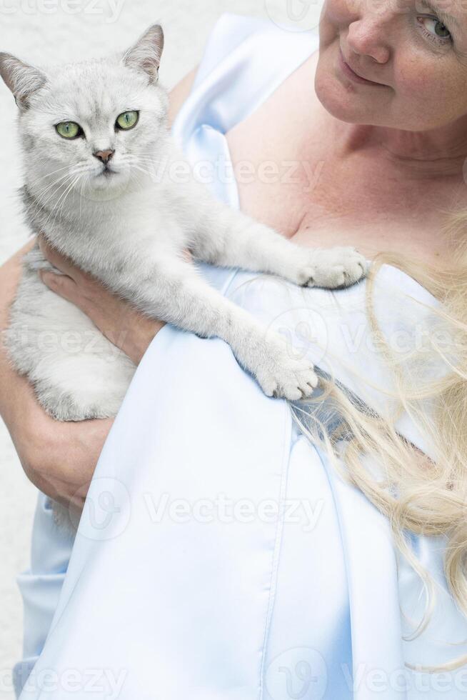 il hostess abbracci un' carino grigio gattino con verde occhi di il Scozzese, blu vestito foto