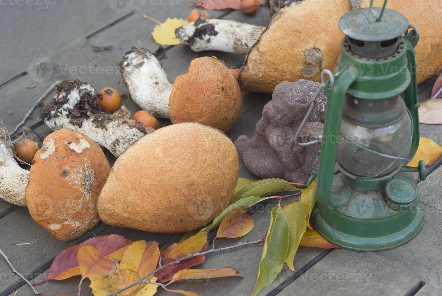 fresco boletus siamo sparpagliato su il tavolo, il autunno raccogliere di foresta funghi foto