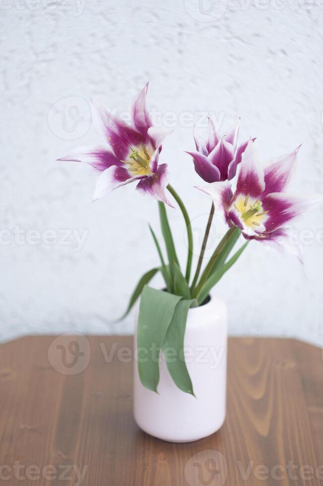 delicato rosa tulipani nel un' vaso, primavera ancora vita, minimalista, floreale sfondo foto