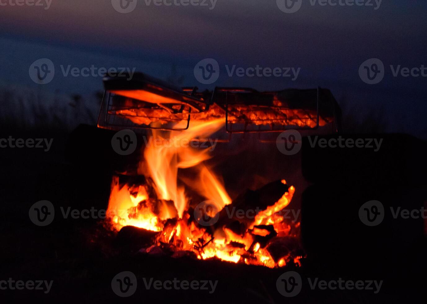 caldo pollo cosce su il fuoco a notte su il spiaggia foto