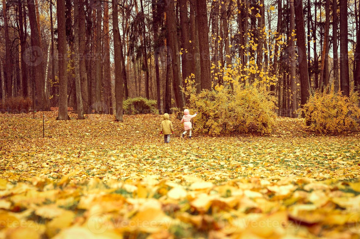 persone autunno autunno parco foresta d'oro foto