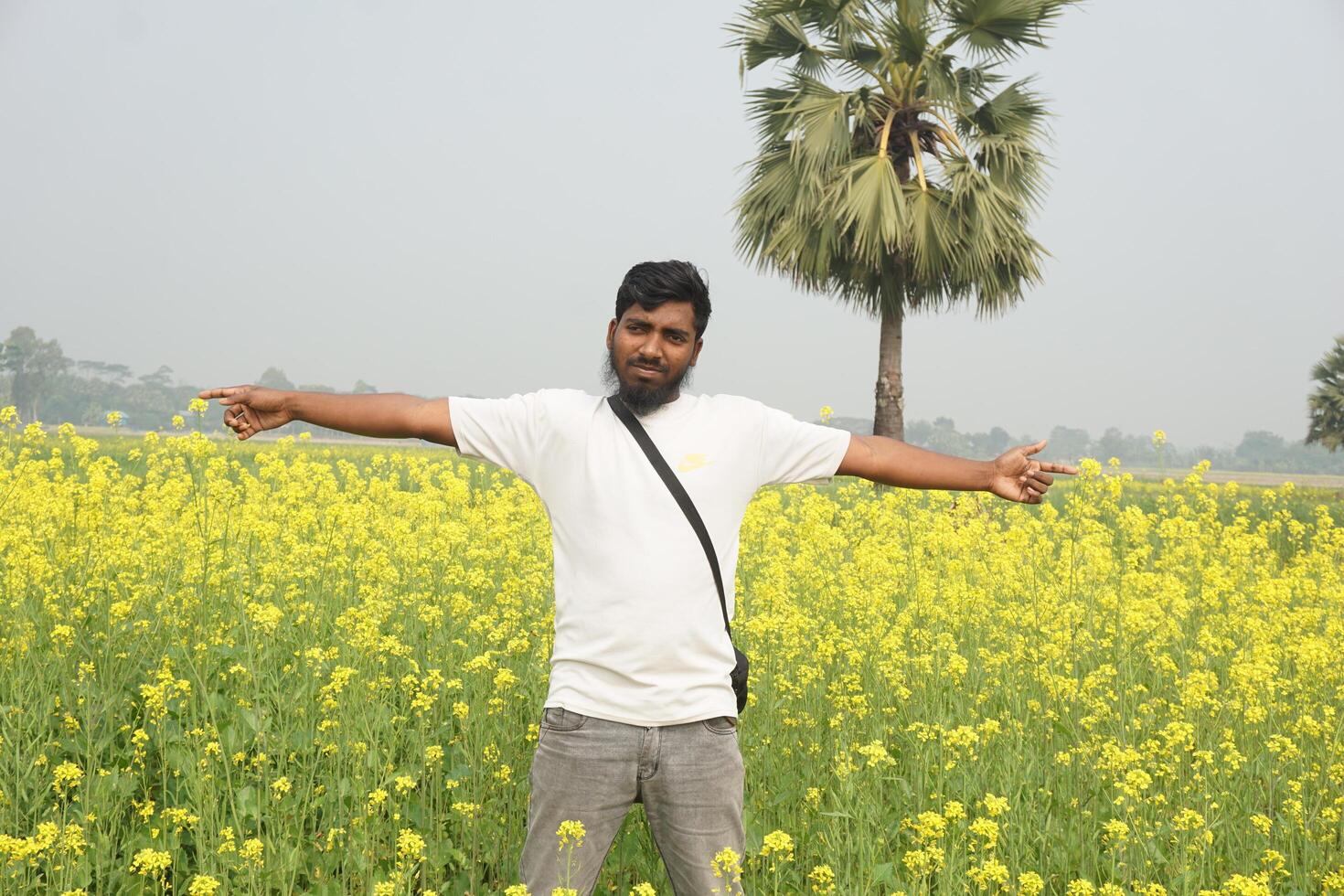 md. rumeno Munshi immagini di mostarda fiori nel diverso stili. fotografo md ridoy, bangladesh. foto