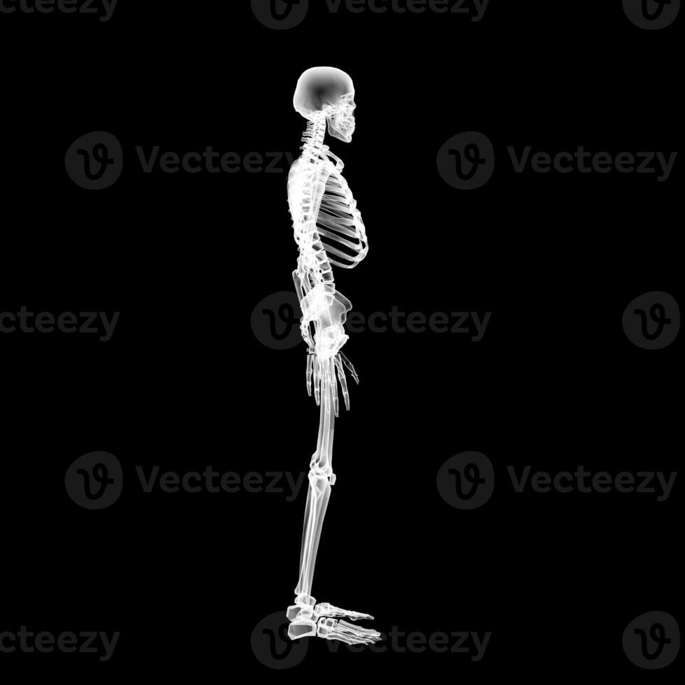 raggi X visione, di il umano corpo e ossa. foto