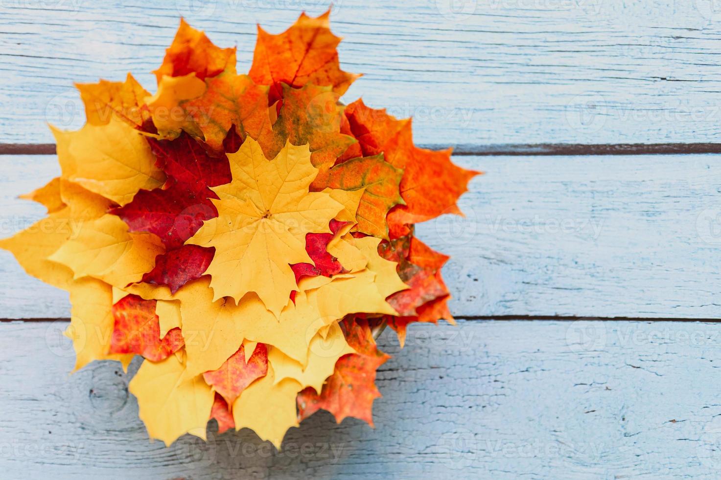 autunno dorato foglie autunnali distesi foto