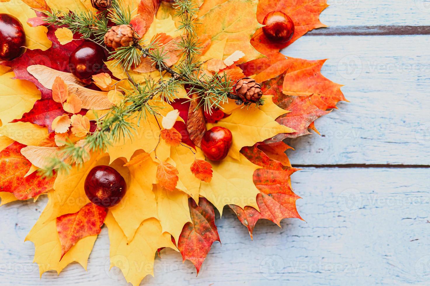 autunno dorato foglie autunnali distesi foto