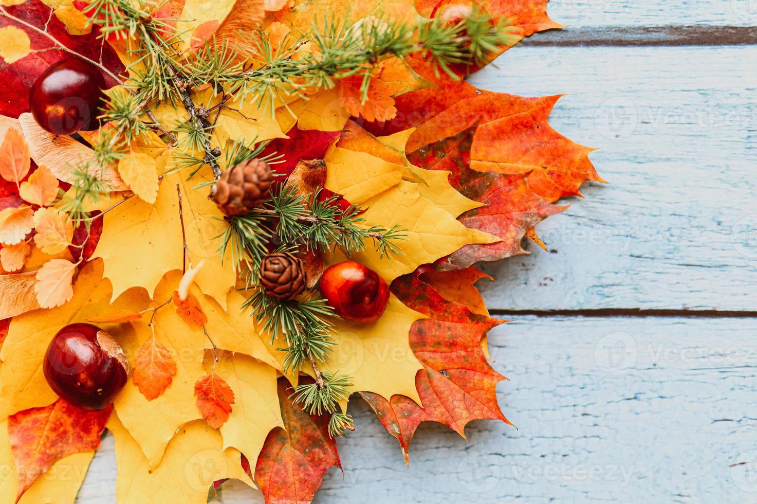 autunno dorato foglie autunnali distesi foto