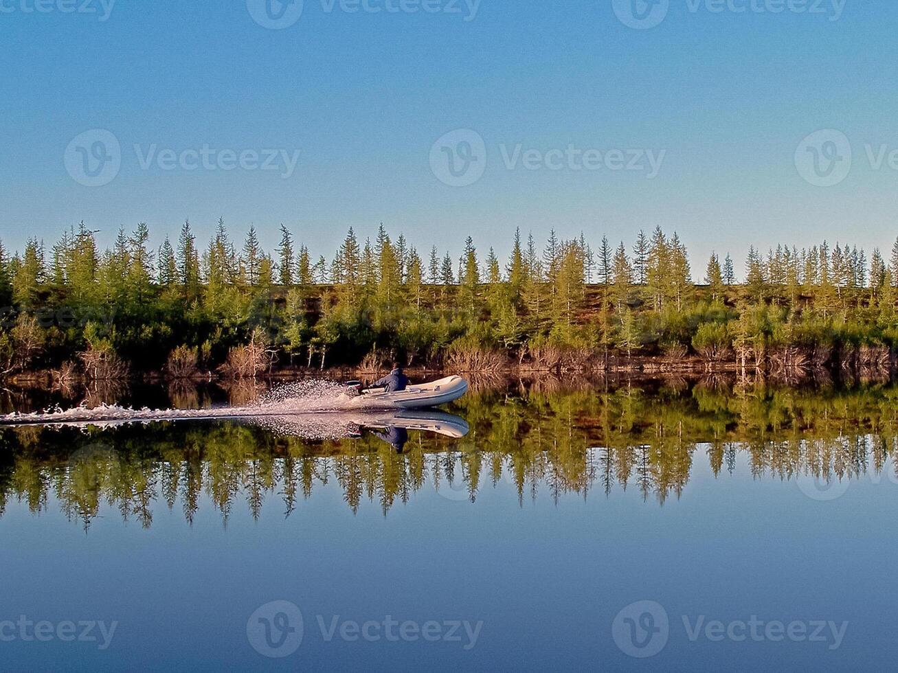 fiume paesaggio. settentrionale renna nel estate foresta. il cielo, gr foto