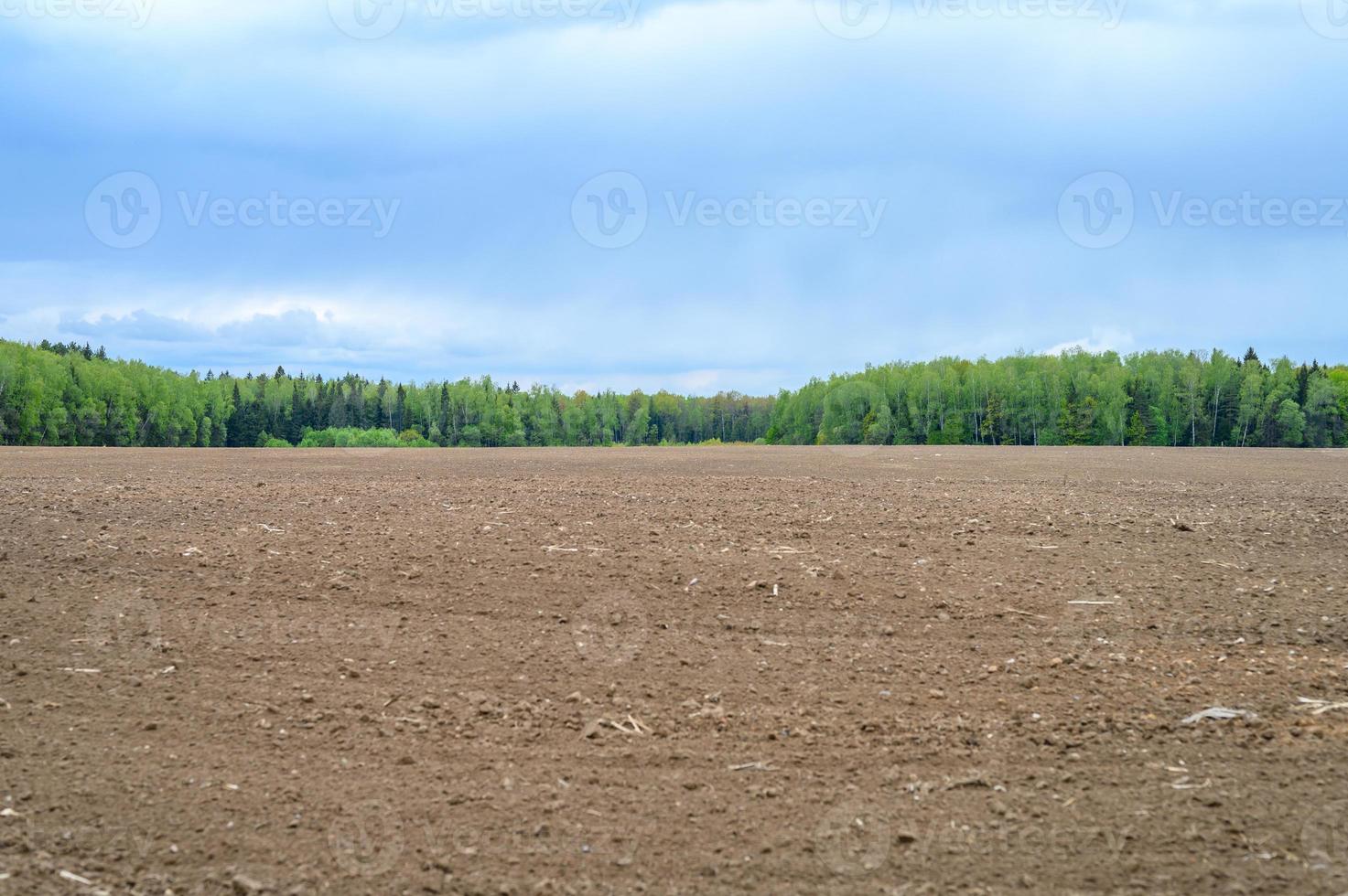 paesaggio piatto estivo rustico foto