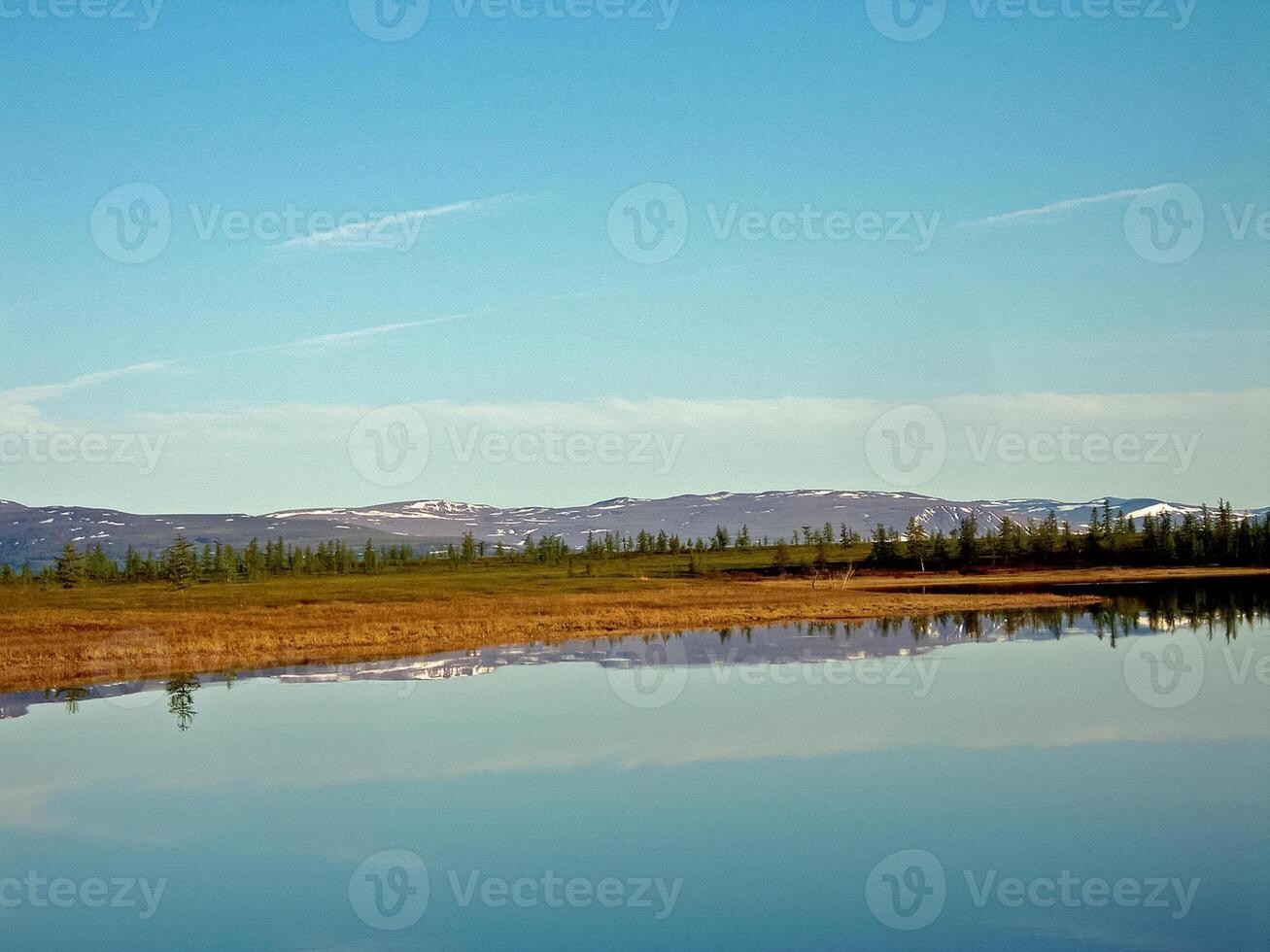fiume paesaggio. settentrionale renna nel estate foresta. il cielo, gr foto