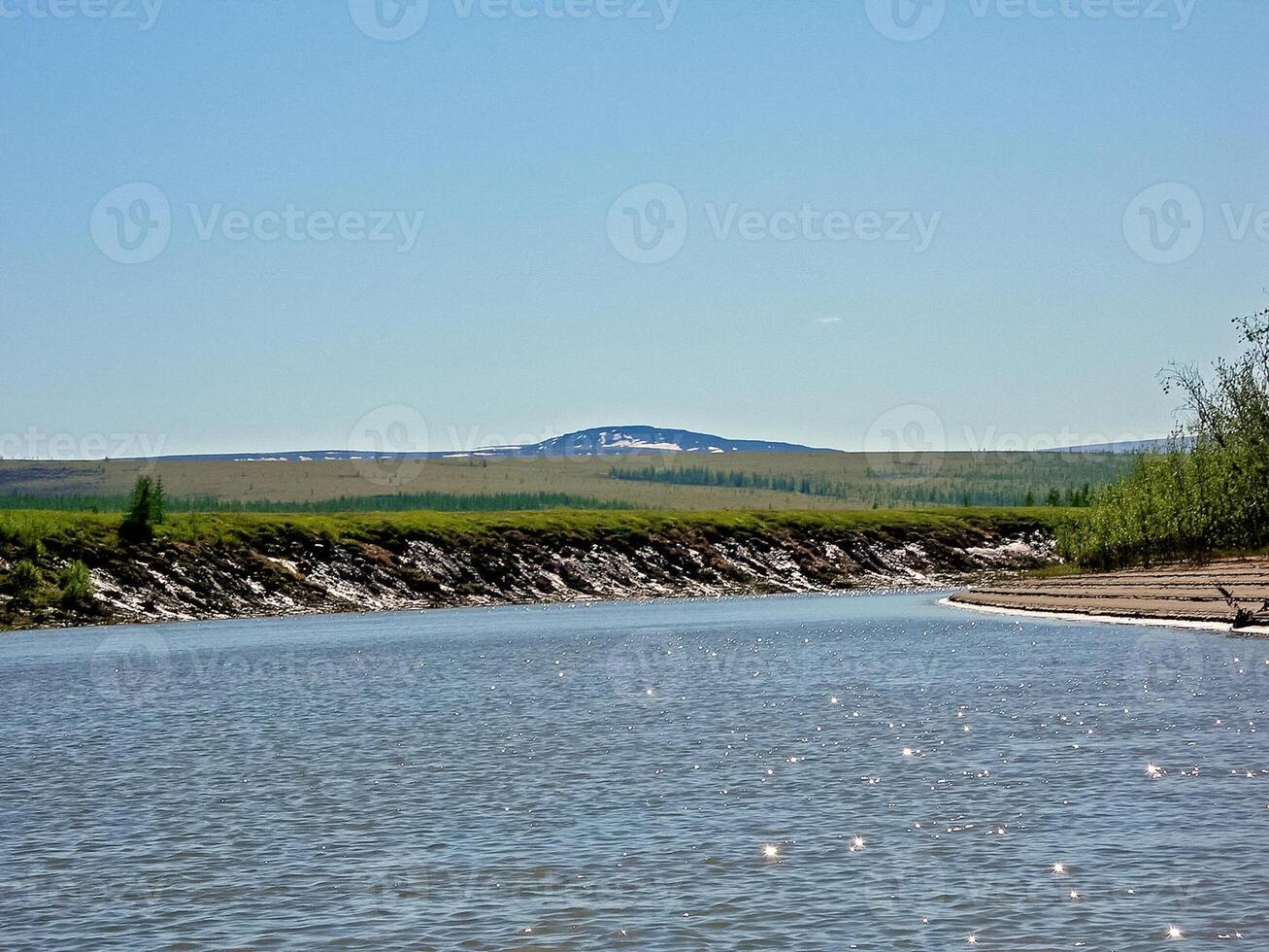 fiume paesaggio. settentrionale renna nel estate foresta. il cielo, gr foto