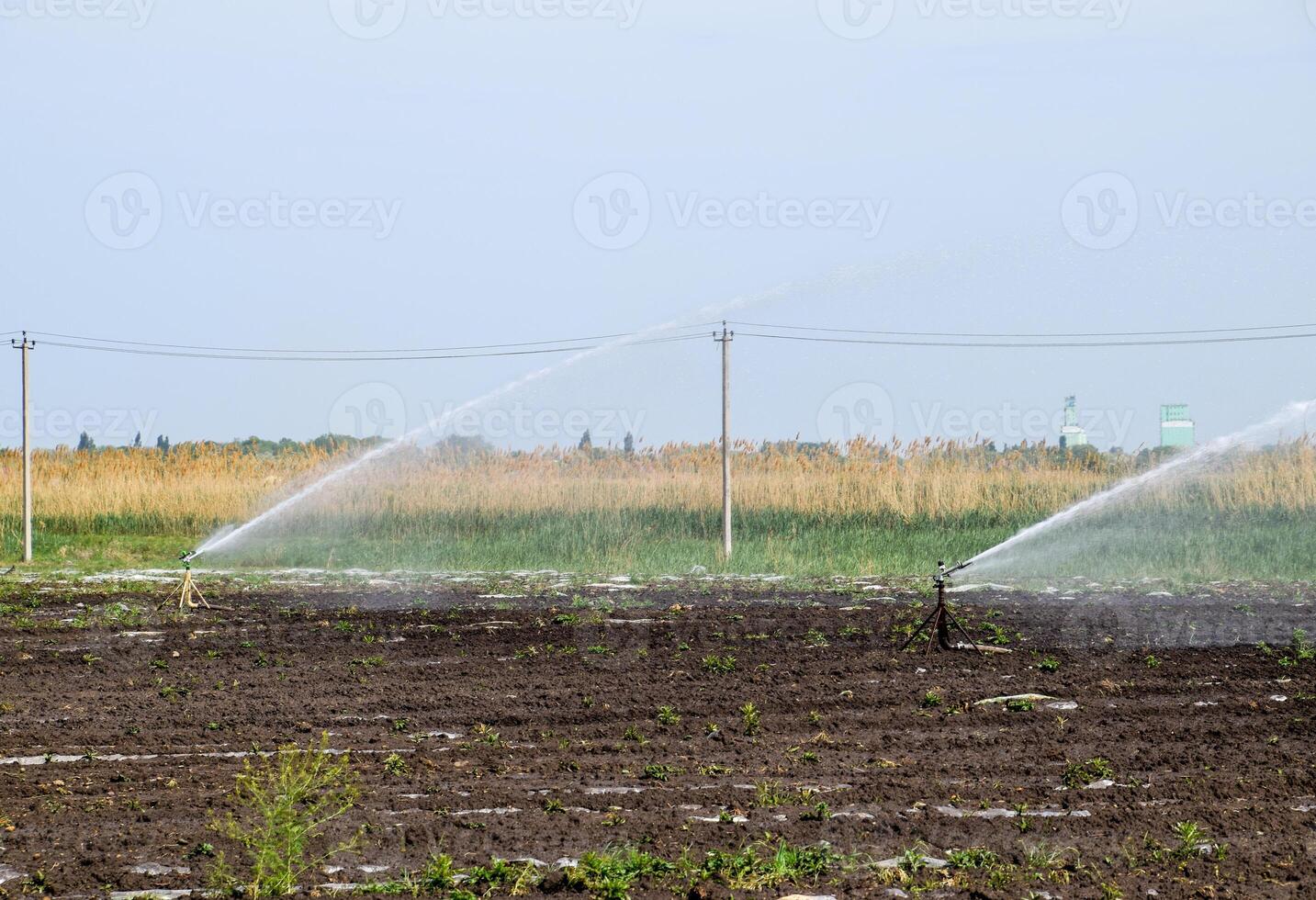 irrigazione sistema nel campo di meloni. irrigazione il campi. spruzzatore foto