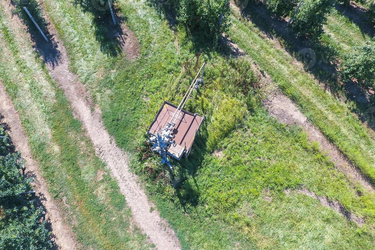 il bene nel il Mela frutteto, superiore Visualizza. foto