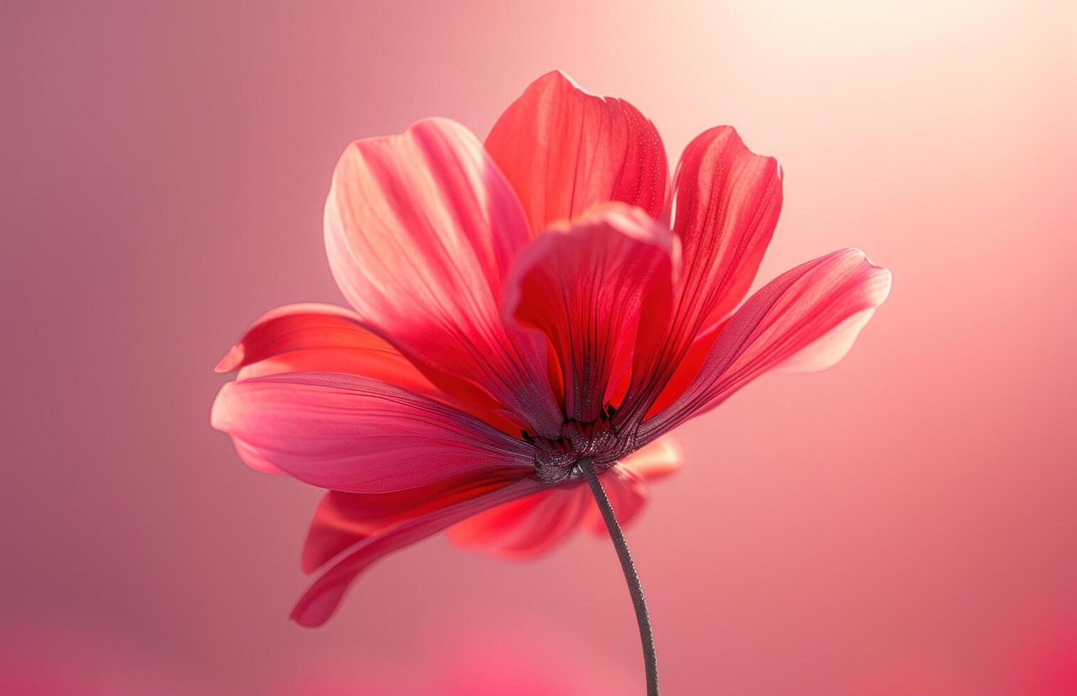ai generato un' rosso fiore forma su un' rosa sfondo foto