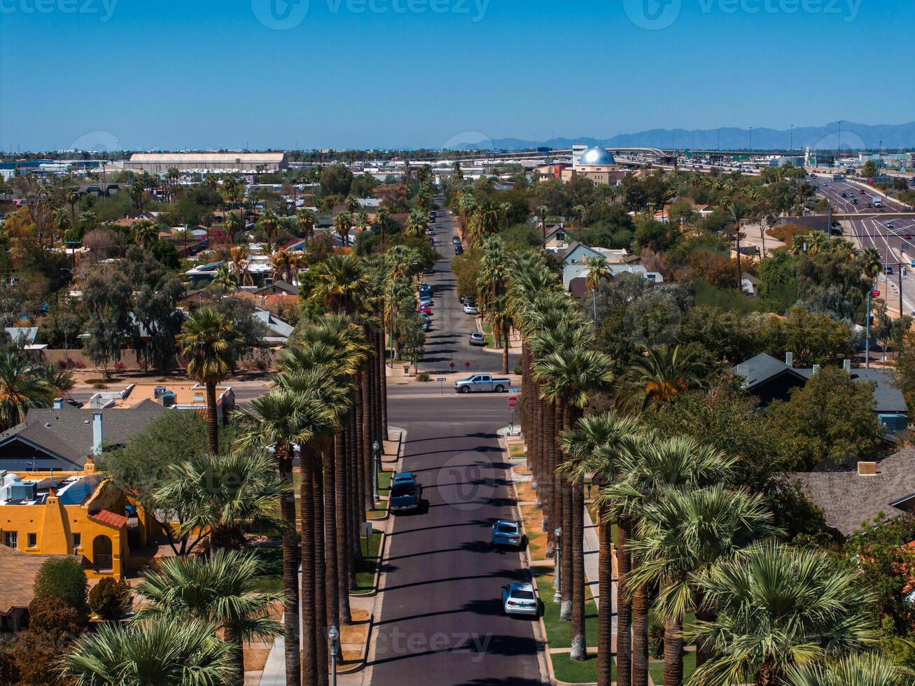 un aereo tiro di californiano palme con un vuoto strada. foto