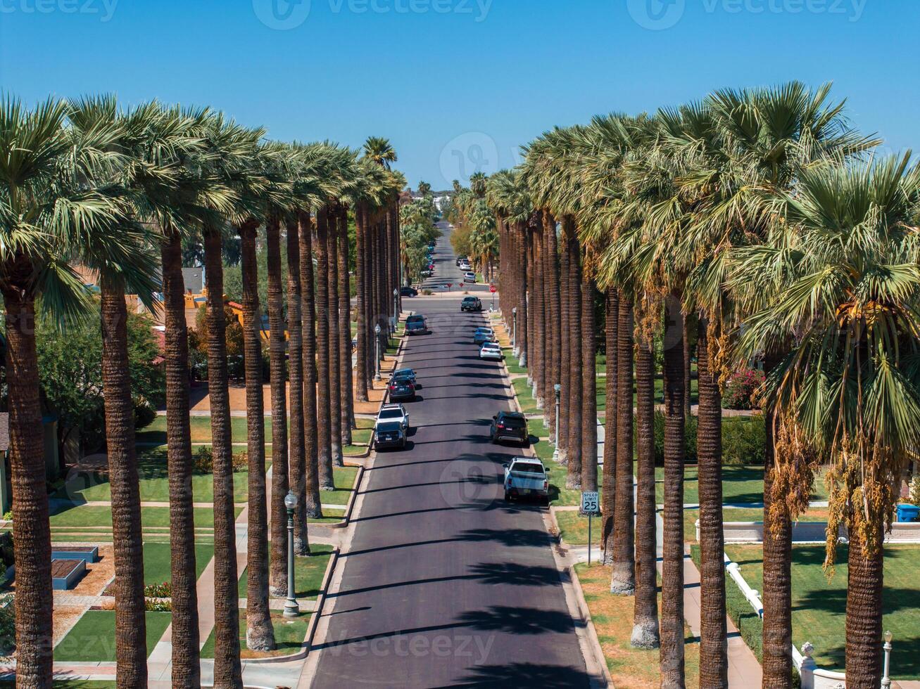 un aereo tiro di californiano palme con un vuoto strada. foto