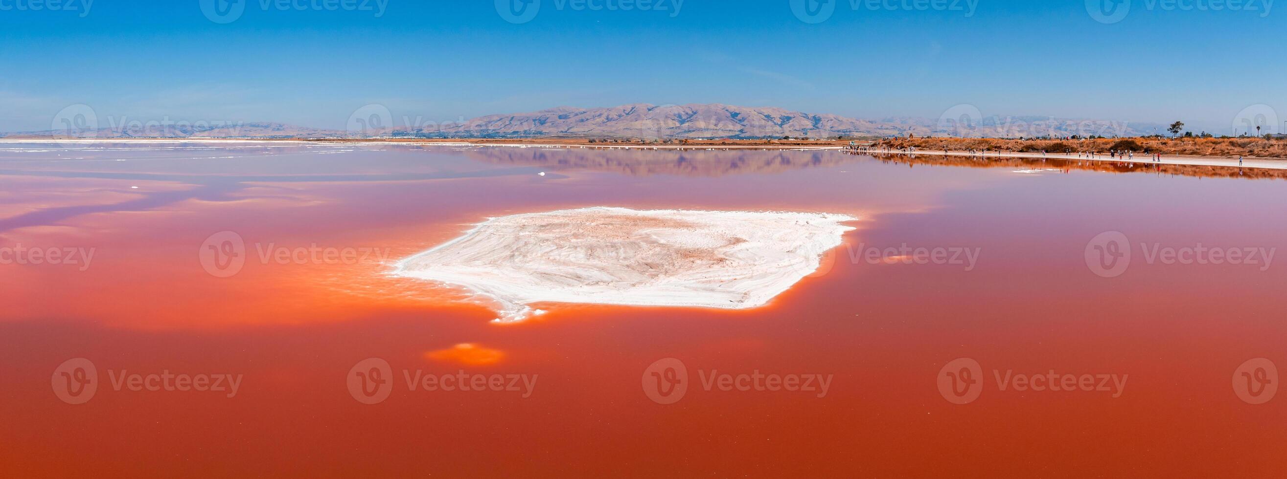 rosa sale stagni a alviso marina contea parco foto