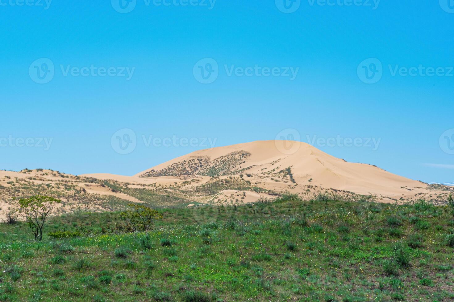 semi arido paesaggio nel il vicinanza di il sarykum sabbia duna foto