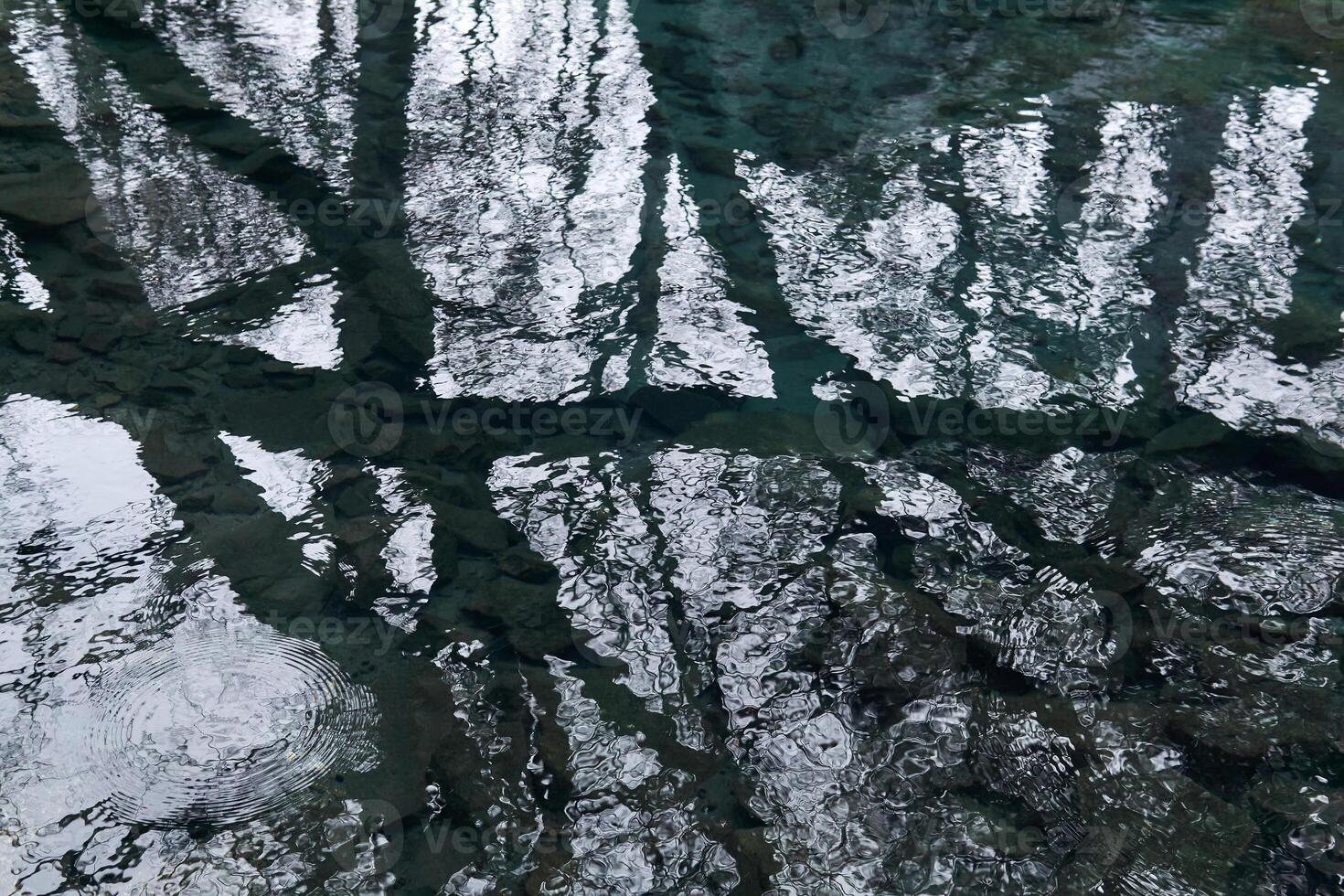 acqua superficie di il stagno su un' piovoso giorno con cielo e rami di spoglio alberi riflessa nel esso foto