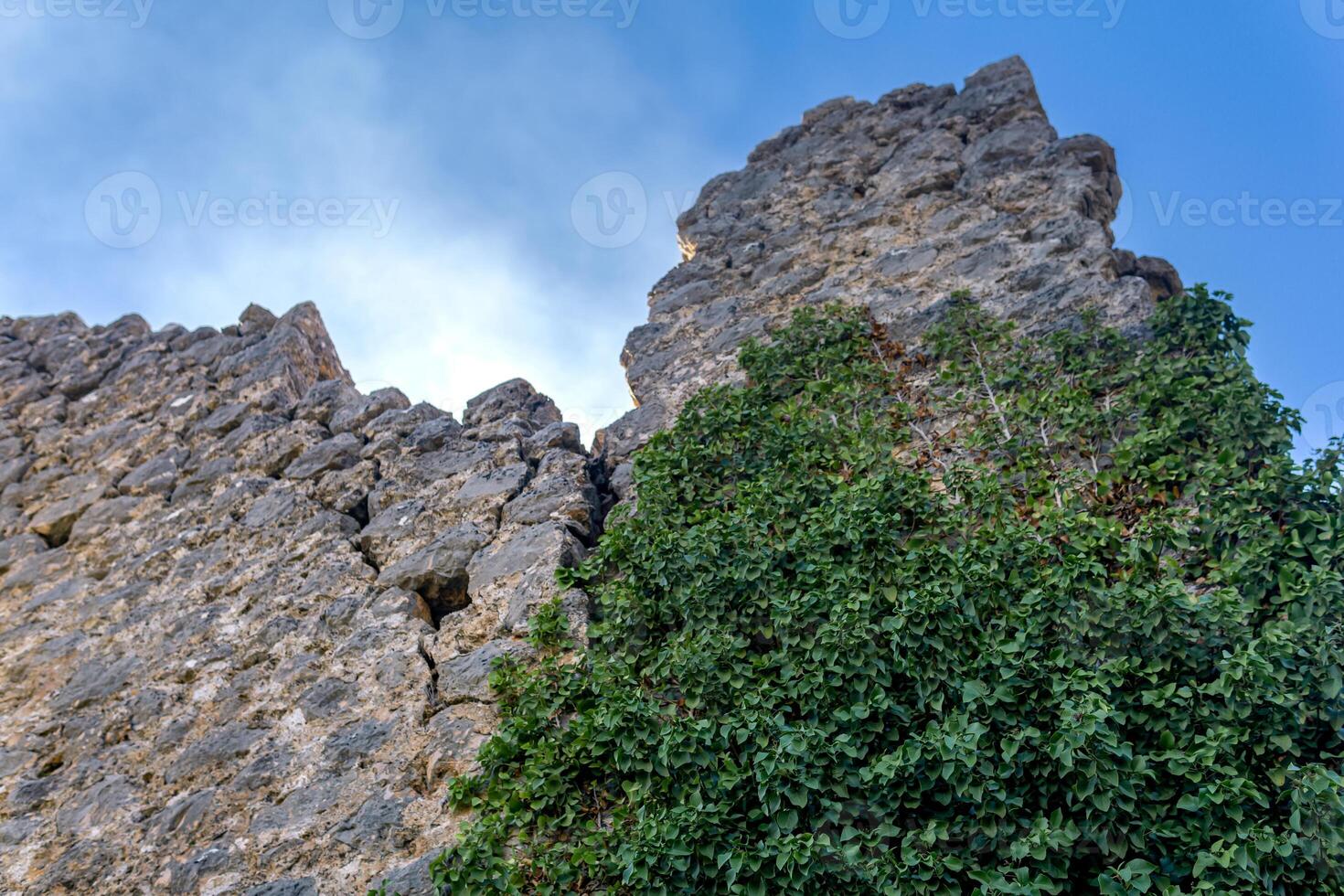 rovine di il castello siamo intrecciate con edera foto