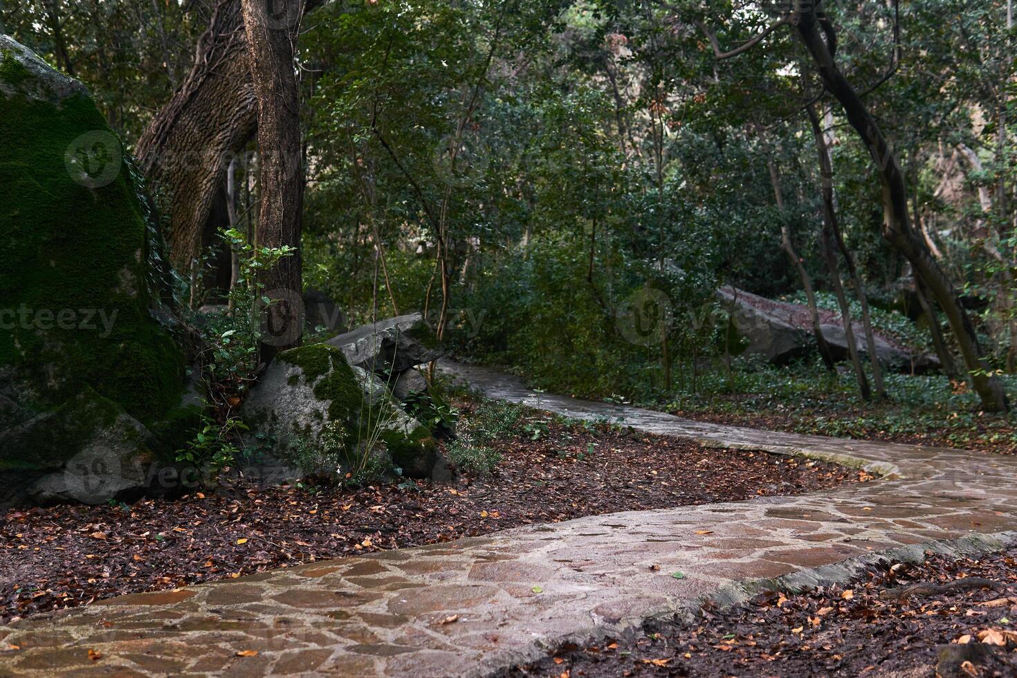 strada pavimentata con naturale pietra tra rocce nel un antico mare paesaggio giardino foto