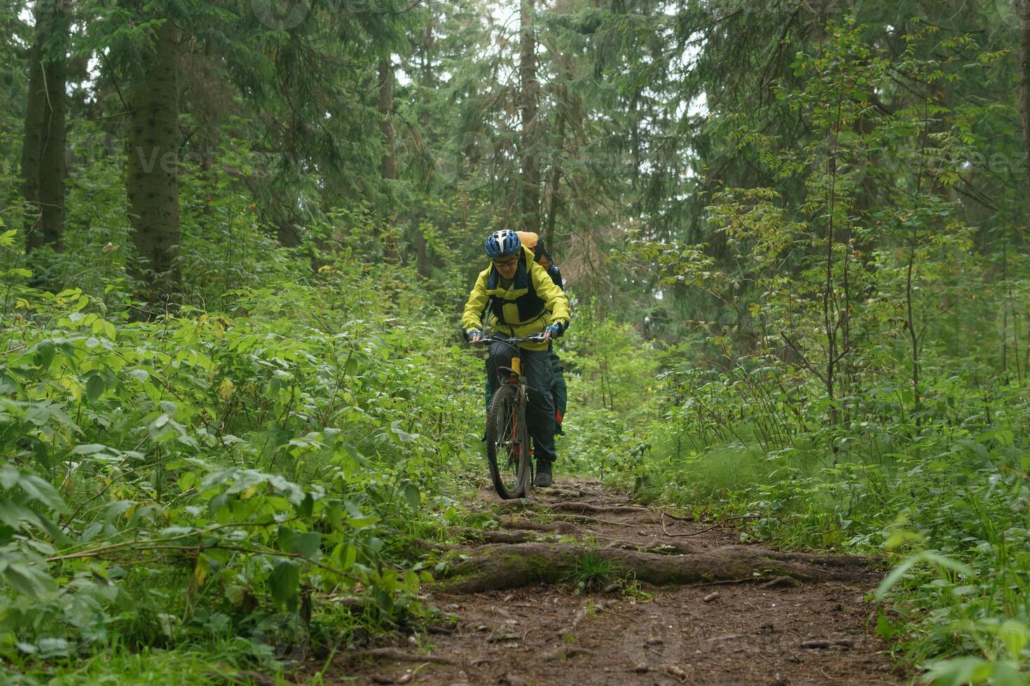 bicicletta turista si arrampica un' pista nel un' montagna autunno foresta foto