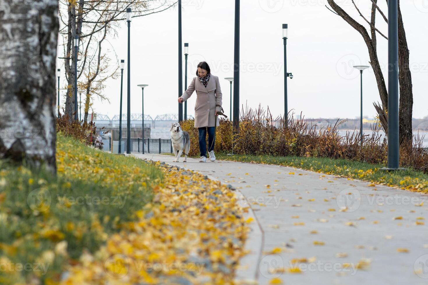 donna con cane a piedi nel il costiero parco foto