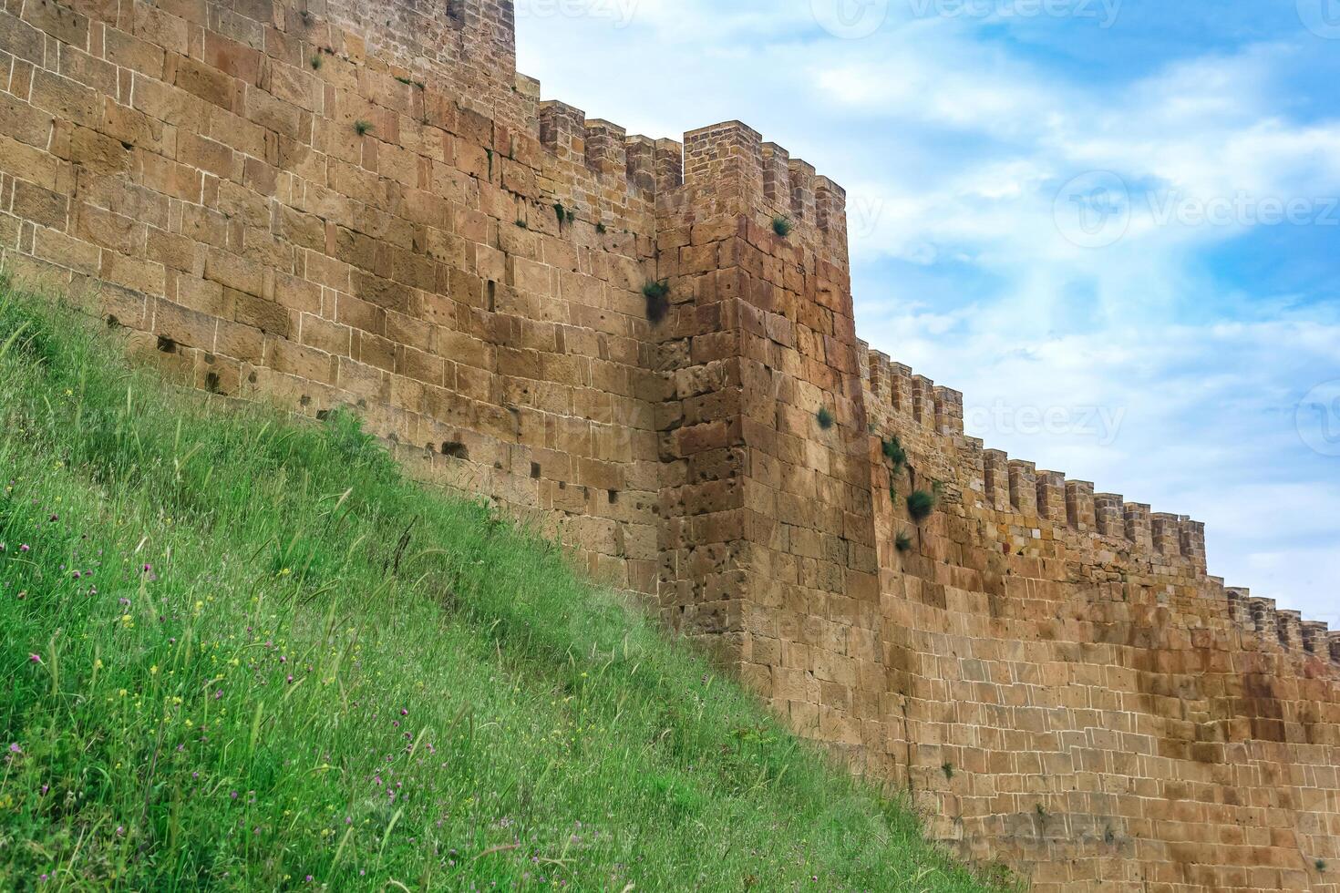 parete di un' medievale fortezza sopra un' bastione coperto di vegetazione con erba contro il cielo, naryn-kala cittadella nel derbent foto