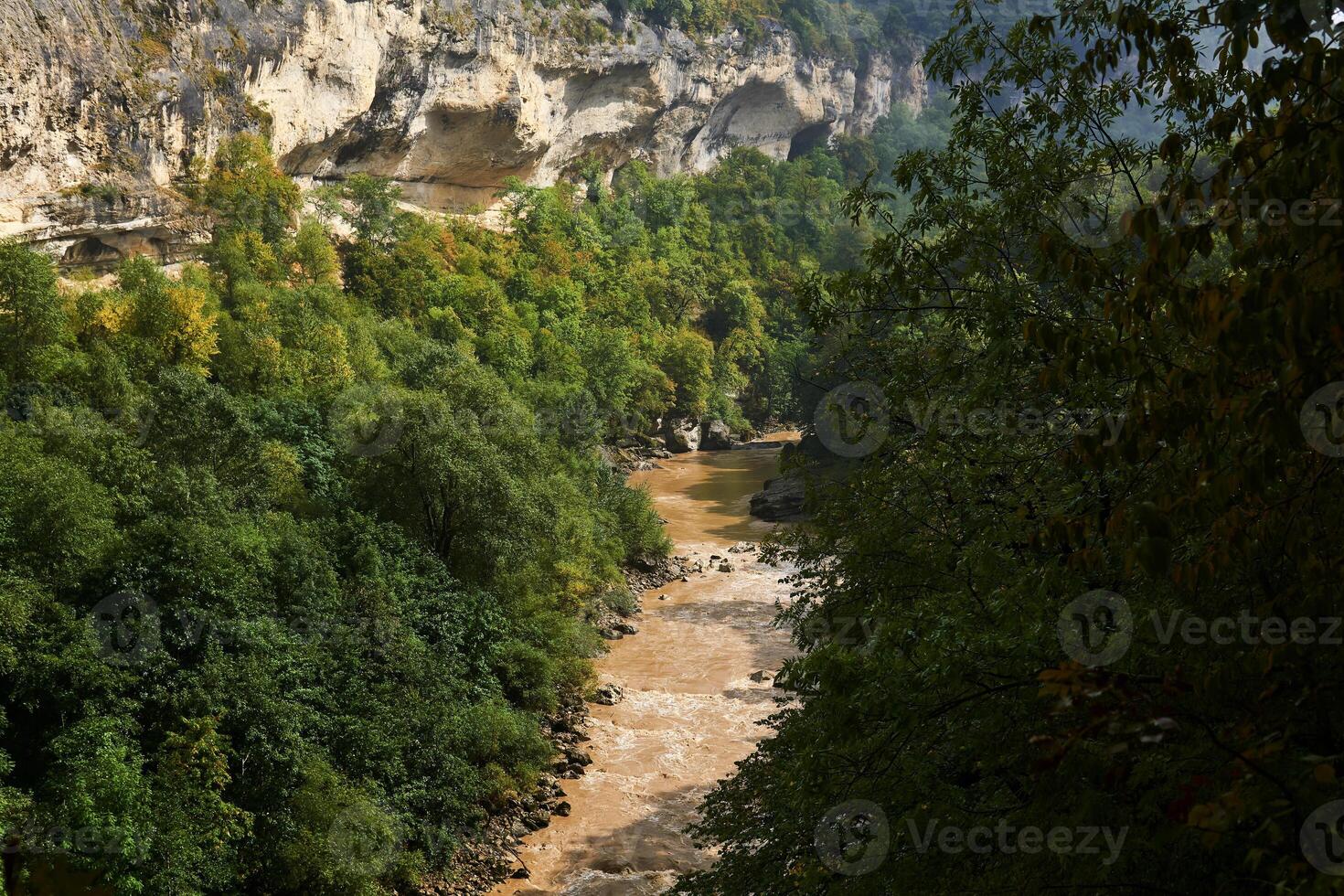 gola con un' fangoso fiume tra selvaggio vegetazione foto