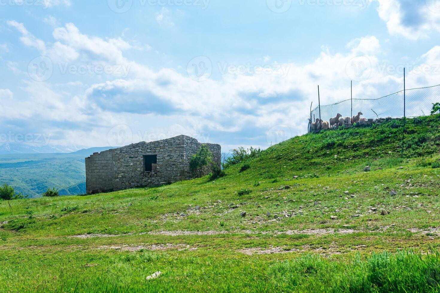 pecora dietro a un' collegamento a catena recinto e un' cadente pietra capanna su un' montagna pascolo foto