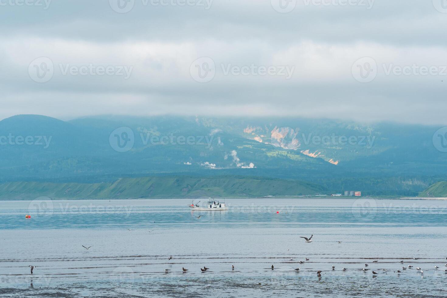 gabbiani su il secche a Basso marea contro il fondale di un' mare baia con un' nebbioso vulcano nel il distanza, un' paesaggio vicino il cittadina di yuzhno-kurilsk su il isola di kunashir foto