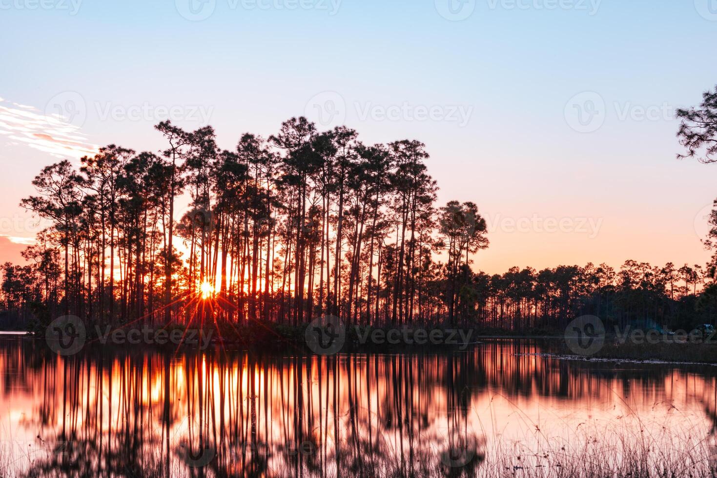 Everglades tramonto Florida foto