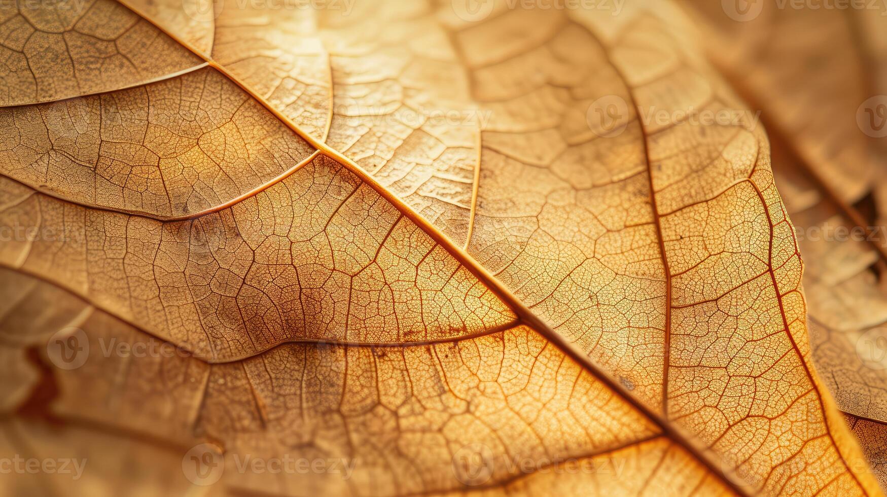 ai generato vicino su di fibra struttura di asciutto le foglie struttura sfondo. cellula modelli di scheletri foglie, fogliame rami, foglia vene astratto di autunno sfondo per creativo bandiera design foto