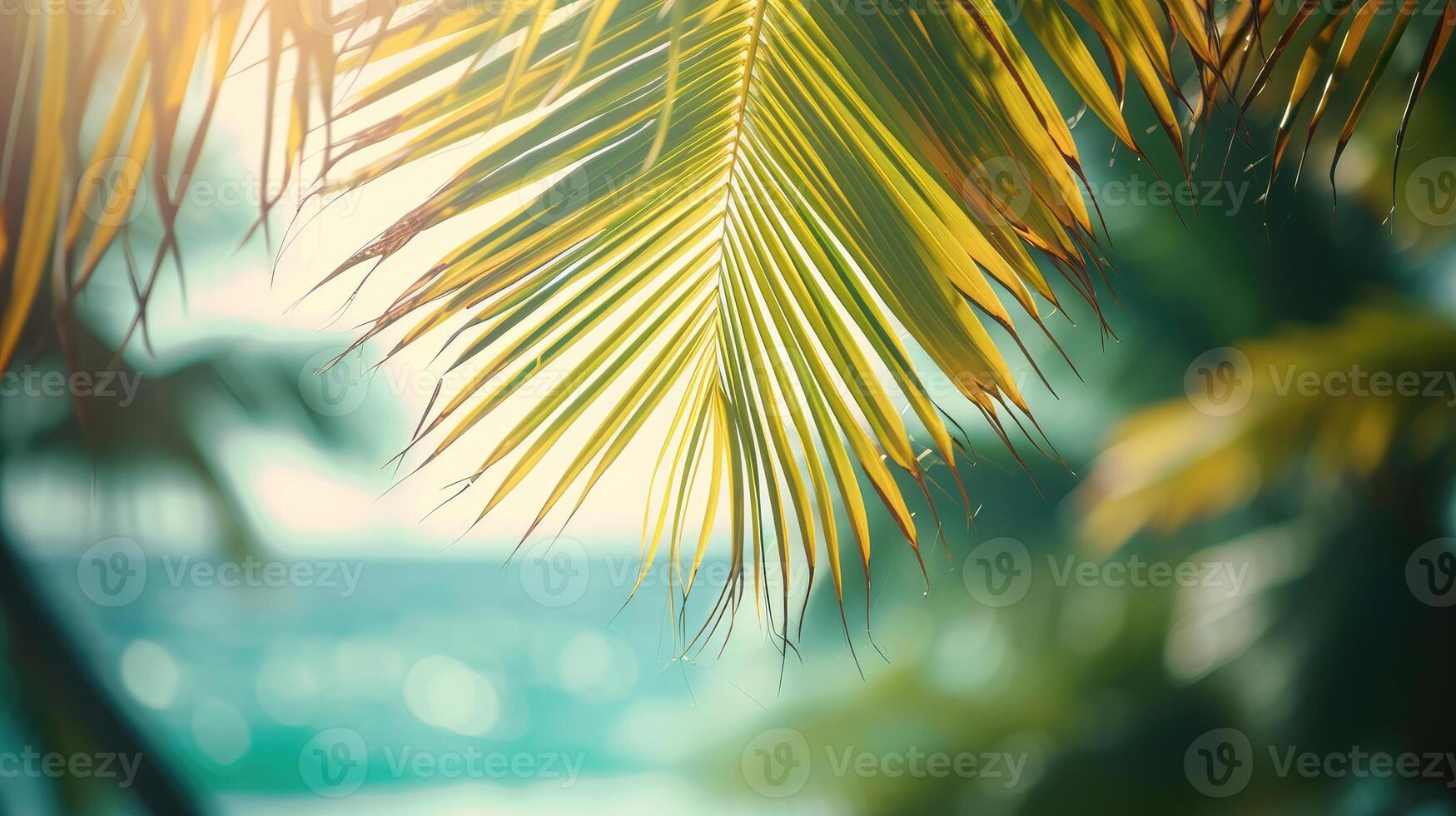 ai generato terra giorno concetto sfocato bellissimo le foglie di Noce di cocco palma albero al di sopra di mare sfondo foto
