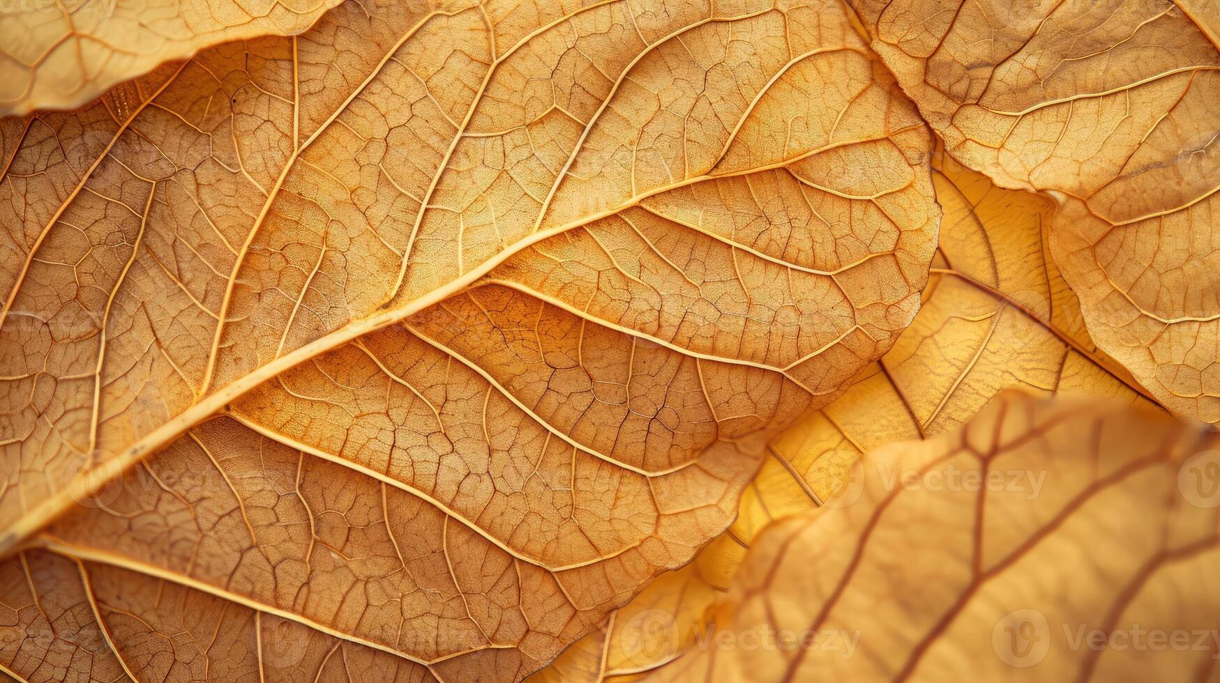 ai generato vicino su di fibra struttura di asciutto le foglie struttura sfondo. cellula modelli di scheletri le foglie foto